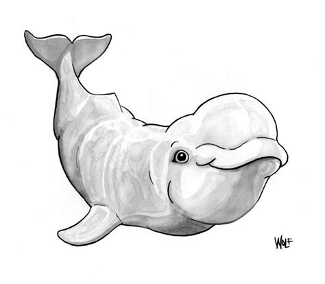 Kizicolor.com provides a large diversity of free printable coloring pages for kids, coloring sheets, free colouring book, illustrations, printable pictures, clipart, black and white pictures, line art and drawings. Baby Beluga by ArchangelRobriel.deviantart.com on ...