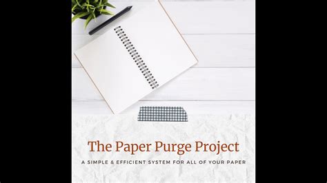 Paper Purge Project Youtube