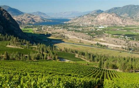 The board of appeal today gave provisional approval to plans by the owners of churrascaria vulcao, 203 adams st. Great grapes! | Grapes, Okanagan valley, Chardonnay