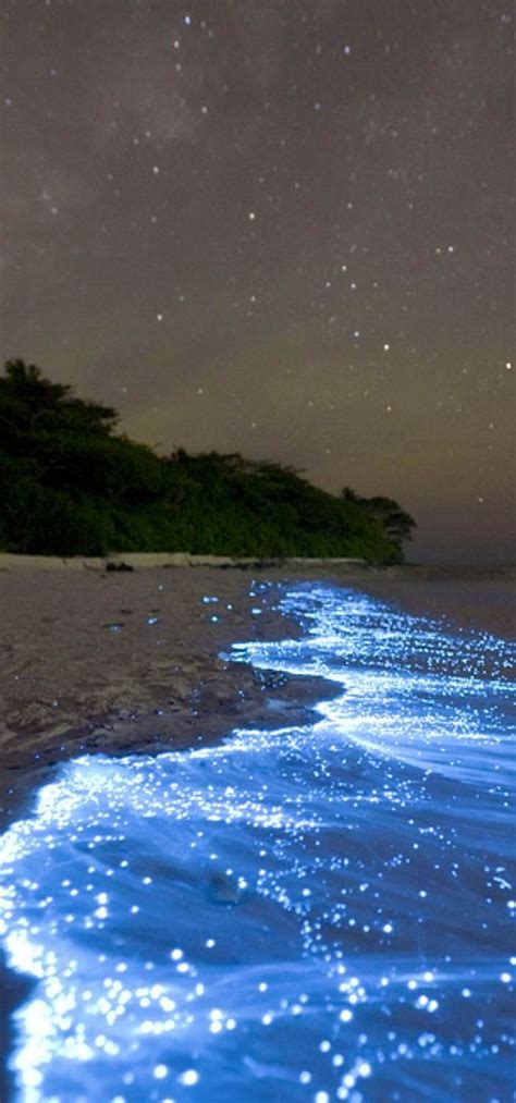 Maldives Sea Of Stars Island