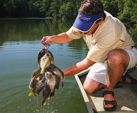 Your Best Spring Fishing In Pennsylvania Game And Fish