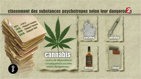 VIDEO Cannabis Les Dangers De La Plante Surtout Pour Les Jeunes Fumeurs