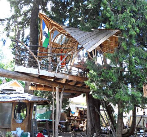 Find the latest tree house educati (treehouse.ns) stock quote, history, news and other vital information to help you with your stock trading and investing. Lloyd's Blog
