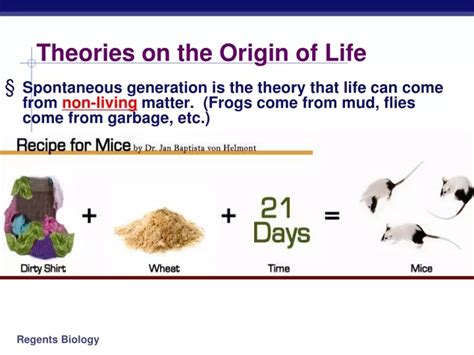 Theories Of The Origin Of Life Timeline Timetoast Timelines Unamed