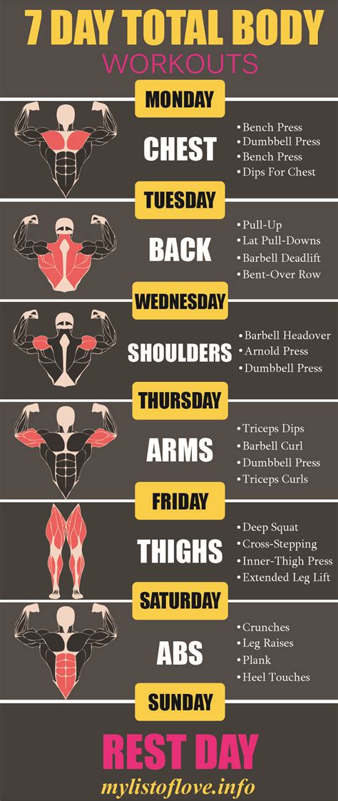 44 Best Full Body Workout Program Gym Perfectabsworkout