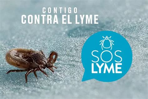 Especialistas En Enfermedad De Lyme En España Soslyme