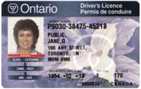Ontario Driver Licence Number Generateor Cleverbio