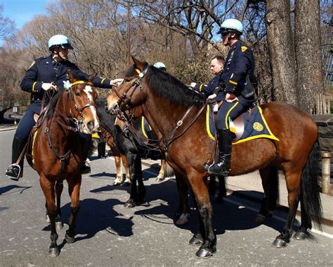 Pmu Nypd Mounted Police Officers On Horseback Central Park New York