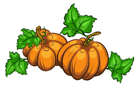 Pumpkin Plant Clipart Free Download On Clipartmag