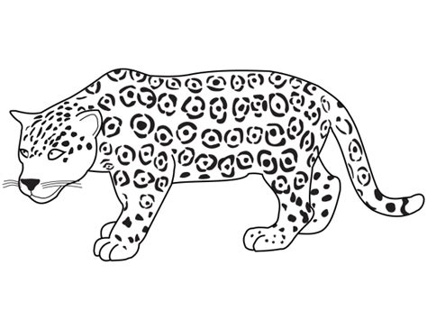 Jaguar Coloring Page Colorear Imágenes