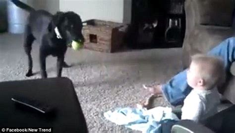 Prime video direct video distribution made easy. Viral video shows baby cracking up laughing as dog plays ...