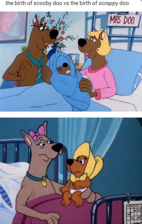 Welp This Explains A Lot Scooby Doo Scooby Really Funny Memes