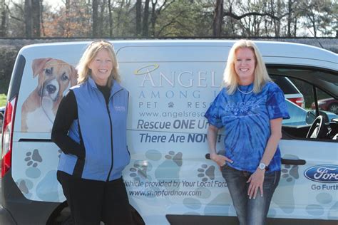 Angels Among Us Pet Rescue Investigation