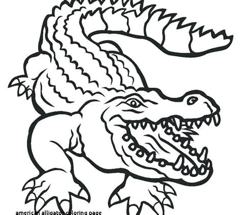 Click any coloring page to see a larger version and download it. Florida Gators Drawing | Free download on ClipArtMag