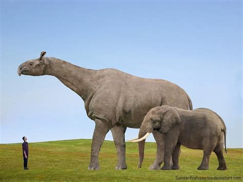 And are still alive today, though they may grow a little bit smaller due to whale hunting. 10 Terrifying Prehistoric Animals in Modern Day Forms