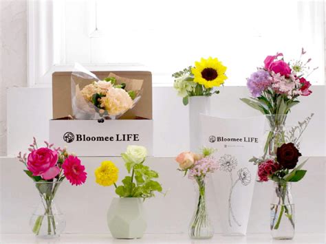 動画ホーム 厳選コレクション shutterstock select shutterstock elementsカテゴリー. お花の定期便「Bloomee LIFE」で食卓を飾る どうやって購入するの ...