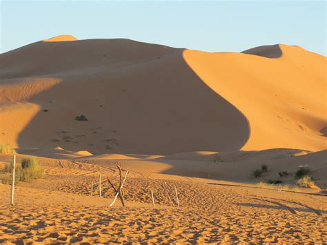 More scenes of the Sahara - Trevor's Travels