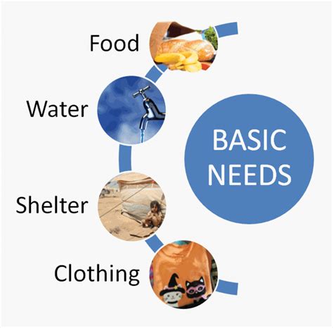 When the Line Between Basic Needs and Wants Become Blurred | hubpages