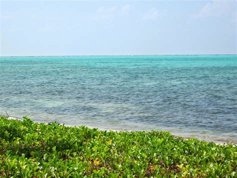 The virgin reef islands of lakshadweep islands are ranked the best by experienced divers. Manoj Saldana: Lakshadweep Islands