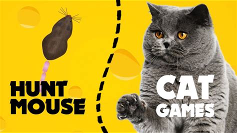 Cat Games Realistic Mouse Hunt Video For Cats With Mice Hour