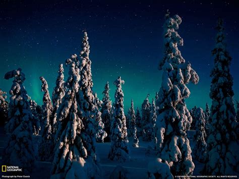 National Geographic Winter Wallpapers Top Free National Geographic