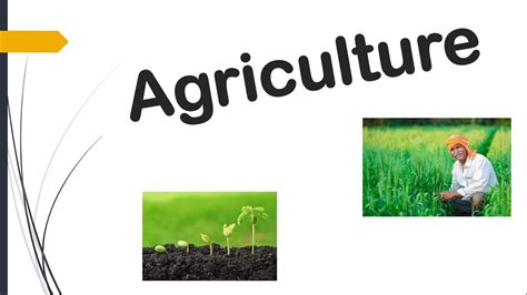 Agriculture Presentation Ppt Presentation On Agriculture New Topics