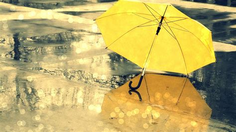 Yellow Umbrella During Rain Season Wallpaper Hd Wallpapers