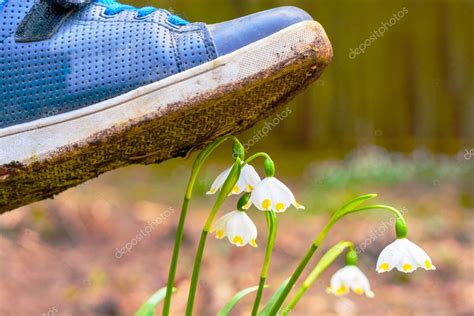 Zapato Pisando Una Flor En La Hierba 2022