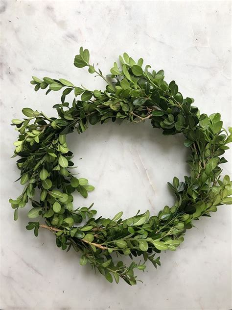 How To Make A Mini Boxwood Wreath Mini Boxwood Wreath Boxwood Wreath