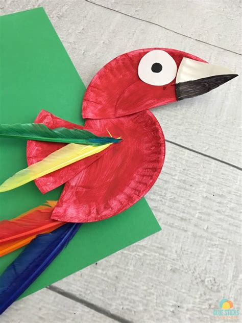 Parrot Paper Plate Craft For Kids Rainforest Craft Idea