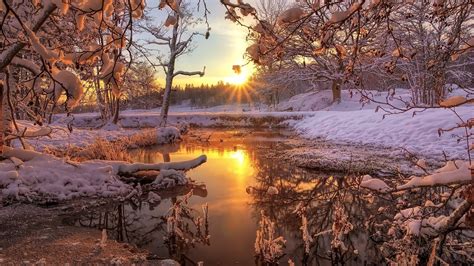 Winter Snow Forest Trees River Dawn Sunrise Wallpaper 1600x900