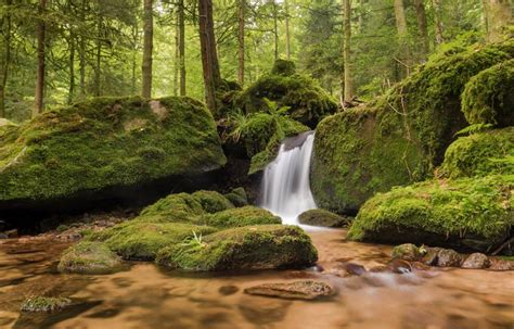 4k Gertelbach Waterfalls Germany Forests Stones Waterfalls Moss