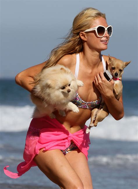 Paris Hilton Wearing A Bikini In Malibu July 2014 CelebMafia