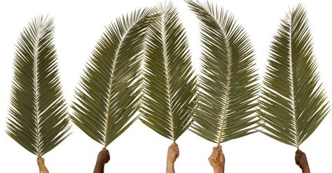 What Really Happened On Palm Sunday