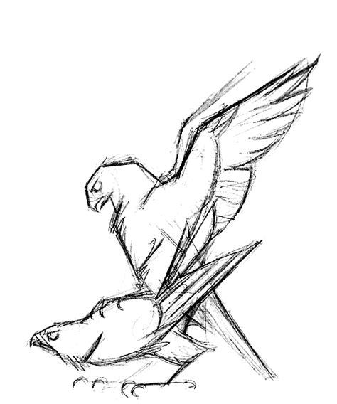 Rule 34 Ambiguous Gender Avian Bird Falcon Sex Sketch Skia 2375450