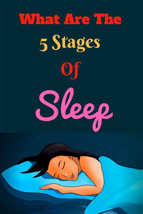 Every Time You Sleep You Body Goes Through Different Stages Of Sleep