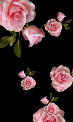 Flowers are the most excellent creation of god. Decent Image Scraps: Rose Animation