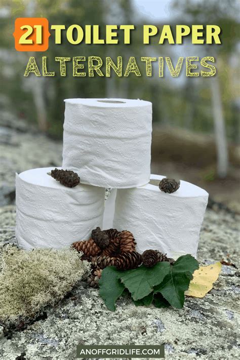 Toilet Paper Alternatives For When The Tp Is Gone An Off Grid Life