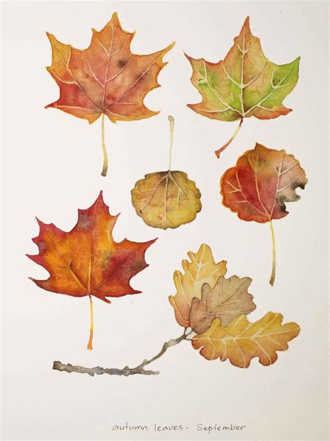 Watercolor Leaves Autumn Art Watercolor Trees