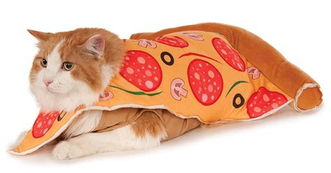 Cute Cat Halloween Costumes That You'll Want To Pounce On Stat
