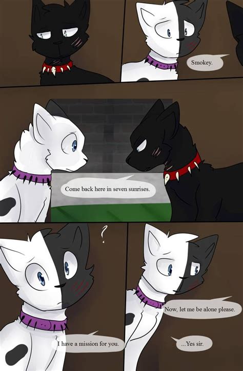 Bloodclan The Next Chapter Page 171 By Studiofelidae On Deviantart
