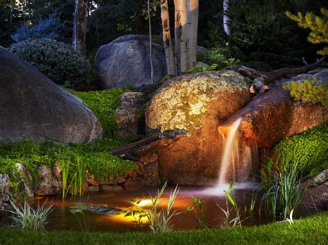 We haven't had a visitor for years! Mystic Gardens - Garden Ftempo