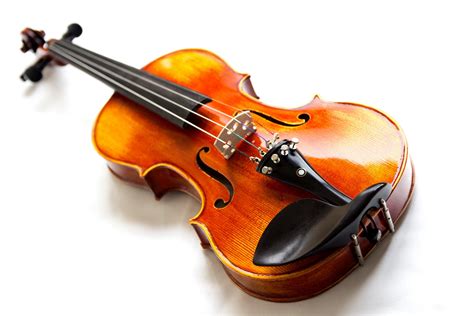 Violino Associazione Scuola Di Musica Filarmonica Tresigallo