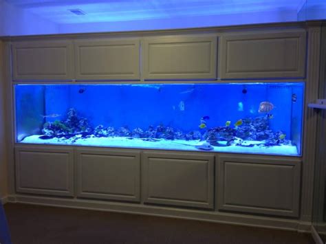 1000 Gallon Fish Tank 1000 Gallon Aquarium From Seaquatic Aquariums