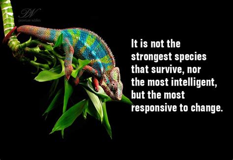 It Is Not The Strongest Species That Survive Nor The Most Intelligent