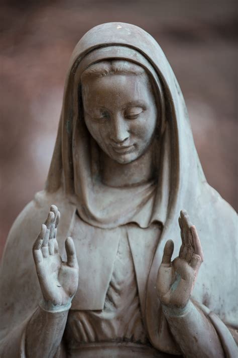 Sad Woman Praying Free Stock Photo Public Domain Pictures