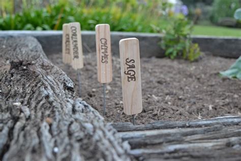Herb Or Vegetable Wooden Garden Markers Pack Of By Haymowoodworks