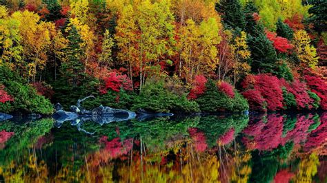 Autumn River Reflection Leaves Trees Foliage Purple Colorful