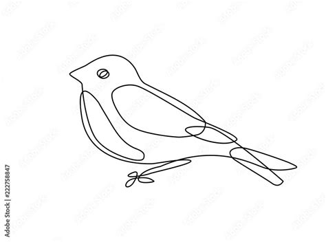 Continuous Line Drawing Of Bird Stock Vector Adobe Stock