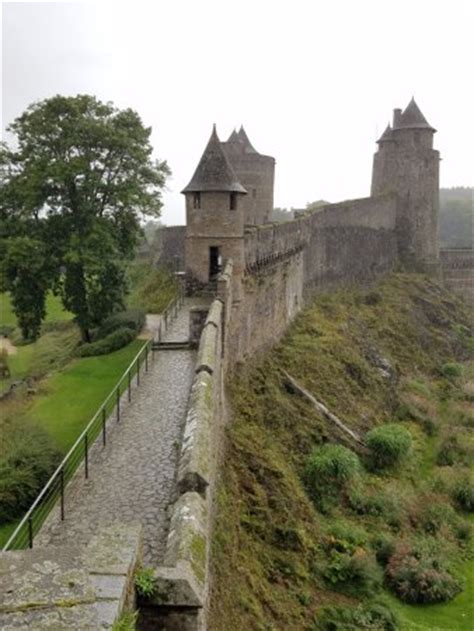 La fougère fait aussi partie des plantes du jardin japonais. Chateau de Fougeres (France): Top Tips Before You Go (with Photos) - TripAdvisor